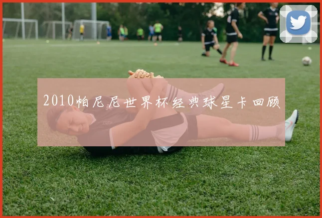 2010帕尼尼世界杯经典球星卡回顾