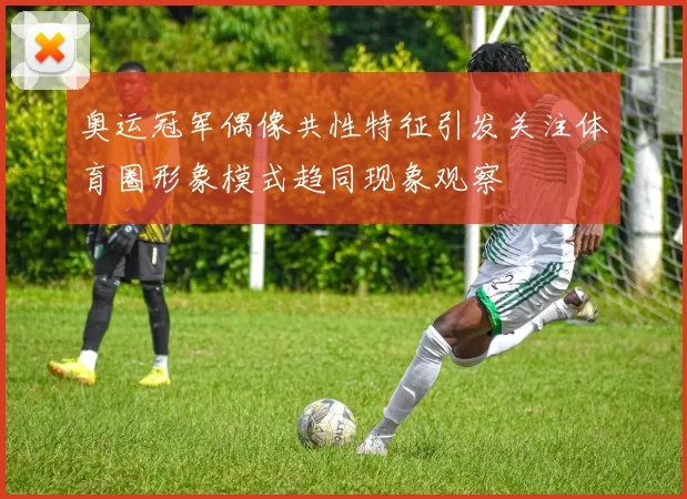 奥运冠军偶像共性特征引发关注体育圈形象模式趋同现象观察