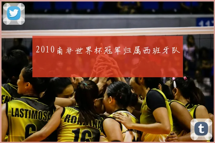 2010南非世界杯冠军归属西班牙队