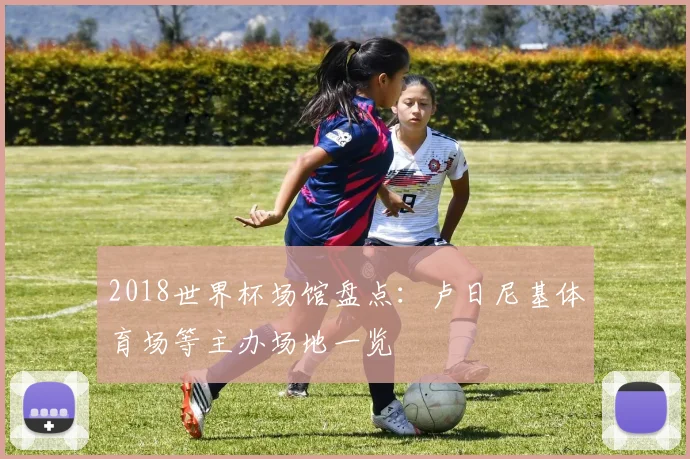 2018世界杯场馆盘点：卢日尼基体育场等主办场地一览