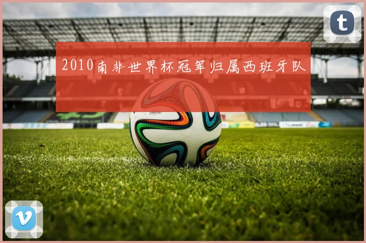 2010南非世界杯冠军归属西班牙队