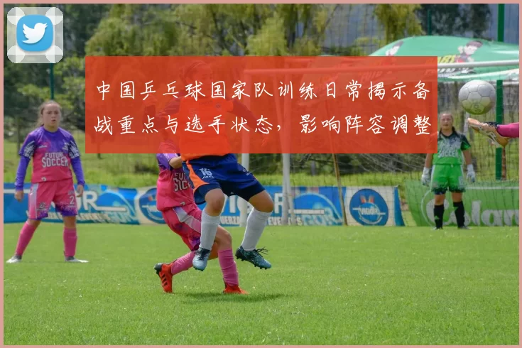 中国乒乓球国家队训练日常揭示备战重点与选手状态，影响阵容调整