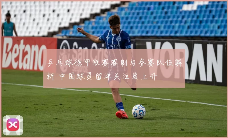 乒乓球德甲联赛赛制与参赛队伍解析 中国球员留洋关注度上升