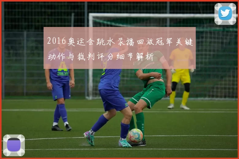 2016奥运会跳水录播回放冠军关键动作与裁判评分细节解析